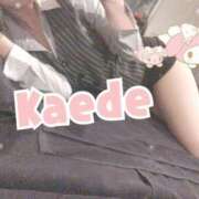 ヒメ日記 2025/08/12 07:45 投稿 及川　かえで OLセレクション宇都宮店