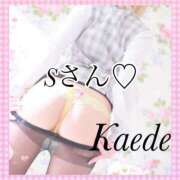 ヒメ日記 2025/08/31 08:50 投稿 及川　かえで OLセレクション宇都宮店