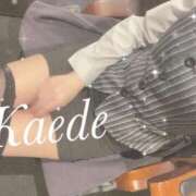 ヒメ日記 2025/09/14 15:16 投稿 及川　かえで OLセレクション宇都宮店