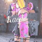 ヒメ日記 2025/10/01 12:03 投稿 及川　かえで OLセレクション宇都宮店