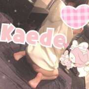 ヒメ日記 2025/10/26 07:45 投稿 及川　かえで OLセレクション宇都宮店