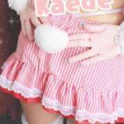 ヒメ日記 2025/10/26 16:51 投稿 及川　かえで OLセレクション宇都宮店