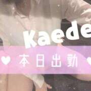 ヒメ日記 2025/11/09 07:45 投稿 及川　かえで OLセレクション宇都宮店