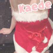 ヒメ日記 2025/12/22 02:11 投稿 及川　かえで OLセレクション宇都宮店