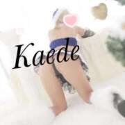 ヒメ日記 2025/12/23 07:45 投稿 及川　かえで OLセレクション宇都宮店