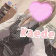 ヒメ日記 2026/02/12 01:30 投稿 及川　かえで OLセレクション宇都宮店