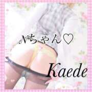 ヒメ日記 2026/02/25 16:48 投稿 及川　かえで OLセレクション宇都宮店