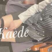 ヒメ日記 2026/02/27 08:04 投稿 及川　かえで OLセレクション宇都宮店