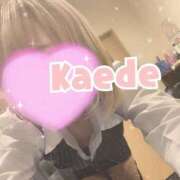 ヒメ日記 2026/04/05 07:48 投稿 及川　かえで OLセレクション宇都宮店