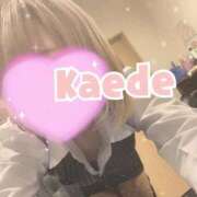 ヒメ日記 2026/04/05 07:54 投稿 及川　かえで OLセレクション宇都宮店