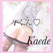 ヒメ日記 2026/04/05 16:14 投稿 及川　かえで OLセレクション宇都宮店