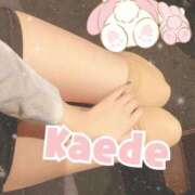 ヒメ日記 2026/04/06 07:54 投稿 及川　かえで OLセレクション宇都宮店