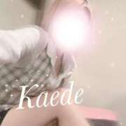 ヒメ日記 2026/04/14 07:50 投稿 及川　かえで OLセレクション宇都宮店