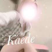 ヒメ日記 2026/04/14 08:04 投稿 及川　かえで OLセレクション宇都宮店