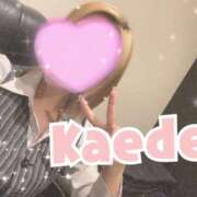 ヒメ日記 2026/04/15 07:47 投稿 及川　かえで OLセレクション宇都宮店