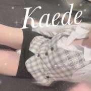 ヒメ日記 2026/04/25 08:04 投稿 及川　かえで OLセレクション宇都宮店