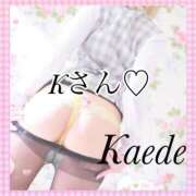 及川　かえで K OLセレクション宇都宮店