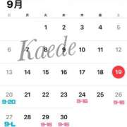 ヒメ日記 2026/09/19 20:50 投稿 及川　かえで OLセレクション宇都宮店