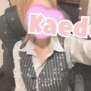 ヒメ日記 2026/10/06 08:04 投稿 及川　かえで OLセレクション宇都宮店
