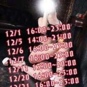 ヒメ日記 2024/12/14 00:44 投稿 しおり C.C.CATS