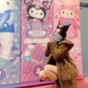 ヒメ日記 2025/03/14 16:07 投稿 しおり C.C.CATS