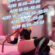 ヒメ日記 2025/04/11 23:06 投稿 しおり C.C.CATS