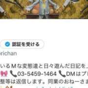 ヒメ日記 2025/04/24 22:07 投稿 しおり C.C.CATS