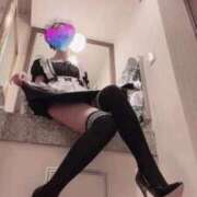 ヒメ日記 2025/09/29 12:22 投稿 しおり C.C.CATS