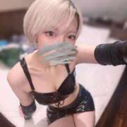 ヒメ日記 2025/10/01 00:21 投稿 しおり C.C.CATS