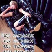 ヒメ日記 2025/10/01 12:21 投稿 しおり C.C.CATS