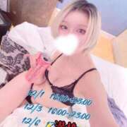 ヒメ日記 2025/12/01 23:22 投稿 しおり C.C.CATS