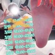 ヒメ日記 2026/03/21 23:42 投稿 しおり CCキャッツ