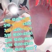 ヒメ日記 2026/03/23 22:42 投稿 しおり CCキャッツ