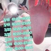 ヒメ日記 2026/03/31 16:42 投稿 しおり CCキャッツ