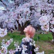 ヒメ日記 2026/04/01 01:02 投稿 しおり CCキャッツ