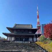 ヒメ日記 2024/12/25 15:58 投稿 今井　真奈美 東京ローズマリー