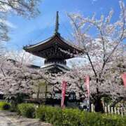 ヒメ日記 2024/12/26 14:38 投稿 今井　真奈美 東京ローズマリー