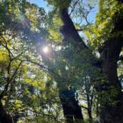 ヒメ日記 2025/01/01 02:57 投稿 今井　真奈美 東京ローズマリー