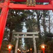 ヒメ日記 2025/01/14 17:37 投稿 今井　真奈美 東京ローズマリー