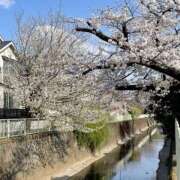 ヒメ日記 2025/04/07 14:57 投稿 今井　真奈美 東京ローズマリー