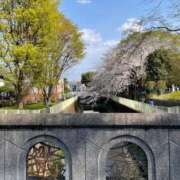 ヒメ日記 2025/04/11 16:47 投稿 今井　真奈美 東京ローズマリー