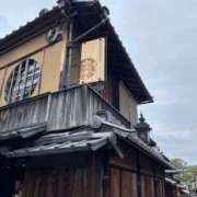 ヒメ日記 2025/04/27 17:27 投稿 今井　真奈美 東京ローズマリー