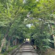 ヒメ日記 2025/06/27 19:47 投稿 今井　真奈美 東京ローズマリー