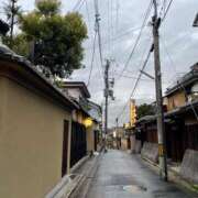 ヒメ日記 2025/07/06 16:37 投稿 今井　真奈美 東京ローズマリー