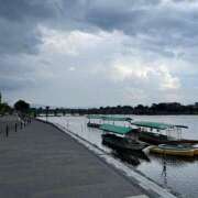 ヒメ日記 2025/07/19 15:47 投稿 今井　真奈美 東京ローズマリー