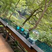 ヒメ日記 2025/08/05 18:07 投稿 今井　真奈美 東京ローズマリー