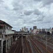 ヒメ日記 2025/08/13 11:47 投稿 今井　真奈美 東京ローズマリー