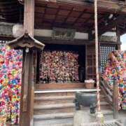 ヒメ日記 2025/08/22 18:17 投稿 今井　真奈美 東京ローズマリー