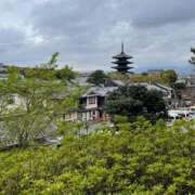 ヒメ日記 2025/08/28 14:57 投稿 今井　真奈美 東京ローズマリー