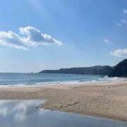 ヒメ日記 2025/09/17 16:17 投稿 今井　真奈美 東京ローズマリー